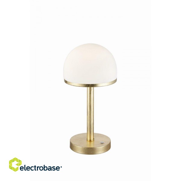 TRIO-Lighting Berlin LED table lamp gold gaismeklis