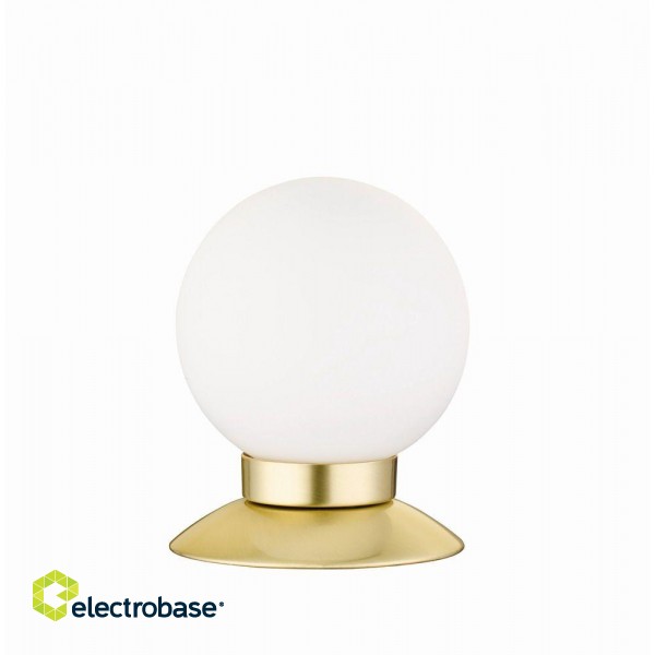 TRIO-Lighting Princess LED table lamp matt brass gaismeklis