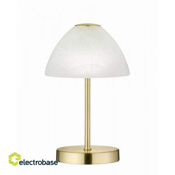 TRIO-Lighting Queen LED table lamp matt brass gaismeklis