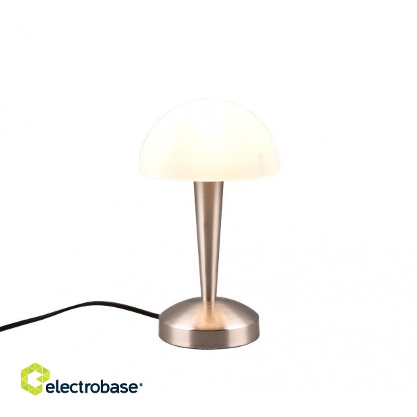 TRIO-Lighting Canaria table lamp E14 (incl.) brushed steel gaismeklis