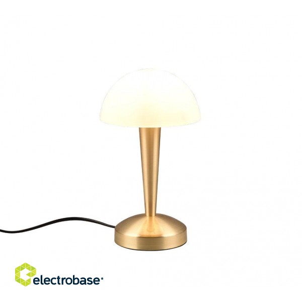 TRIO-Lighting Canaria table lamp E14 (incl.) matt brass gaismeklis