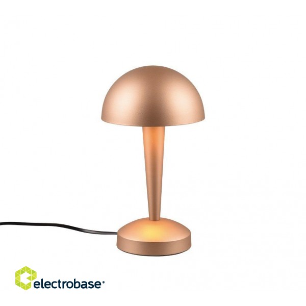 TRIO-Lighting Canaria table lamp E14 (incl.) coffee brown gaismeklis
