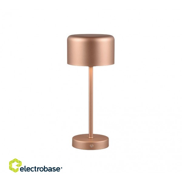 TRIO-Lighting Jeff LED table lamp coffee brown rechargeable gaismeklis
