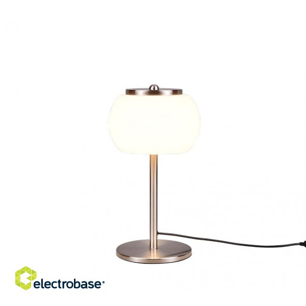 TRIO-Lighting Madison LED table lamp brushed steel gaismeklis