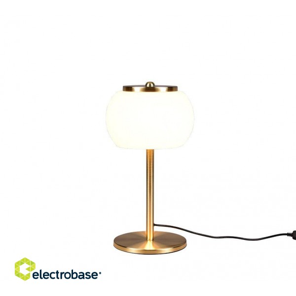 TRIO-Lighting Madison LED table lamp matt brass gaismeklis