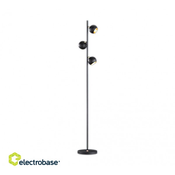 Trio-Lighting Dakota  3xG9 matt black/gold stāvlampa