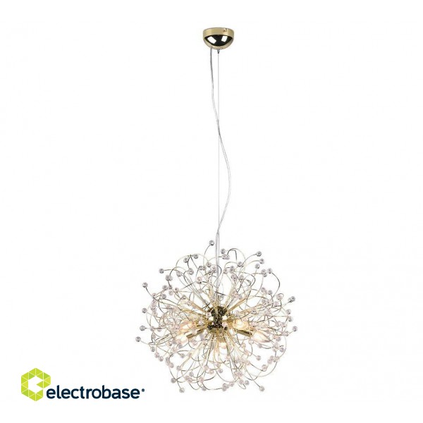 Trio-Lighting Gloria  55 cm 5xE14 polished brass piekaramā lampa