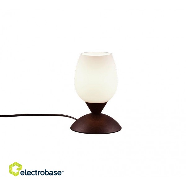 TRIO-Lighting Cup table lamp E14 rustic gaismeklis