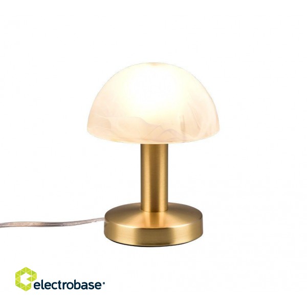 TRIO-Lighting Fynn II table lamp 21 cm E14 brass gaismeklis