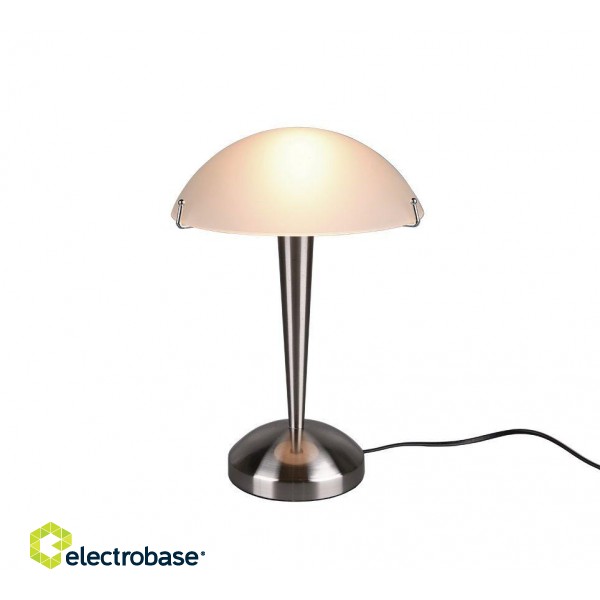 TRIO-Lighting Pilz table lamp E14 brushed steel gaismeklis