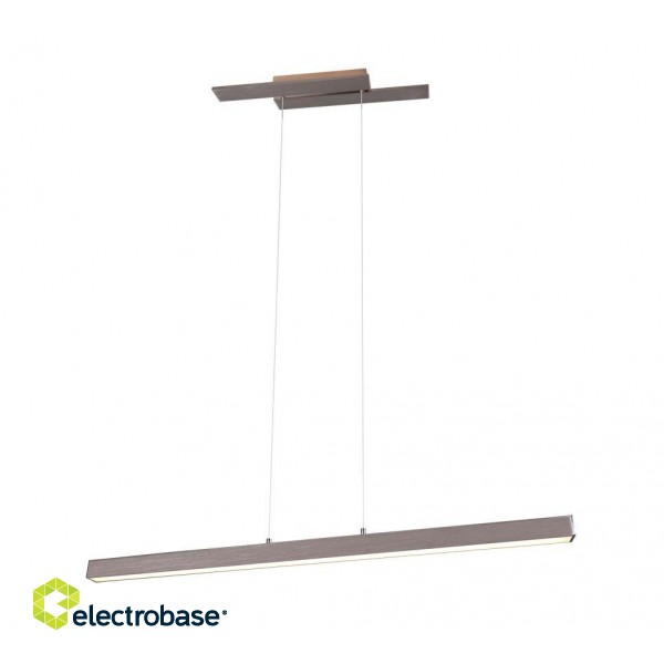 Trio-Lighting Belfast LED  brushed steel griestu lampa