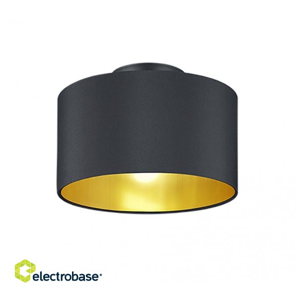 Trio-Lighting Hostel  E14 matt black/gold griestu lampa