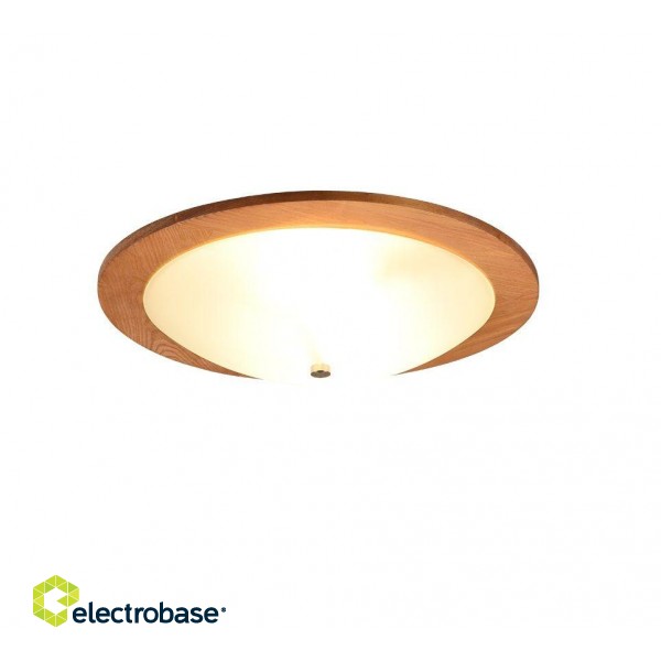 Trio-Lighting Pali  E27 wood griestu lampa