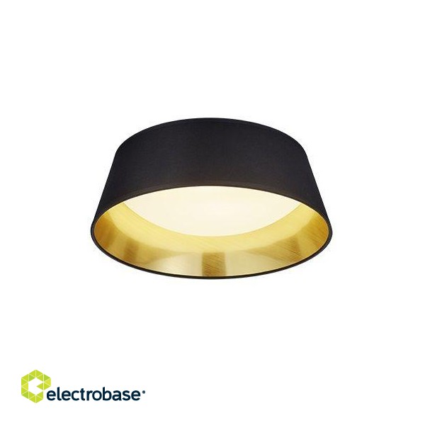 Trio-Lighting Ponts LED  34 cm black/gold griestu lampa