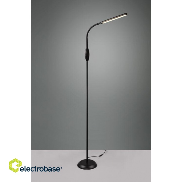 Toro LED floor lamp black gaismeklis