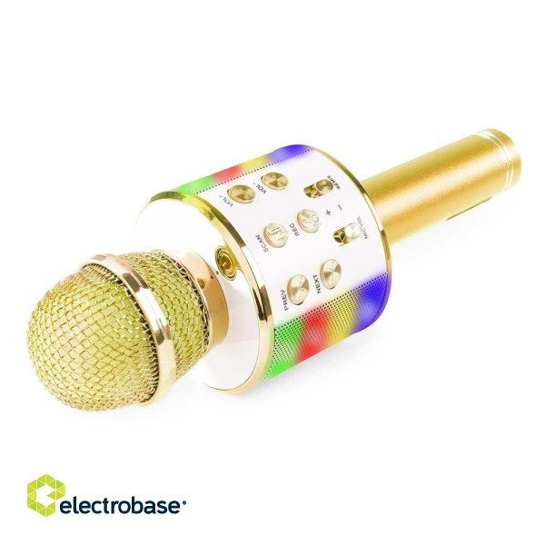 RoGer WS-858L Illuminated karaoke mikrofons ar skaļruni image 2