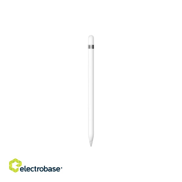 Apple Pencil 1st Gen 2022 фото 1