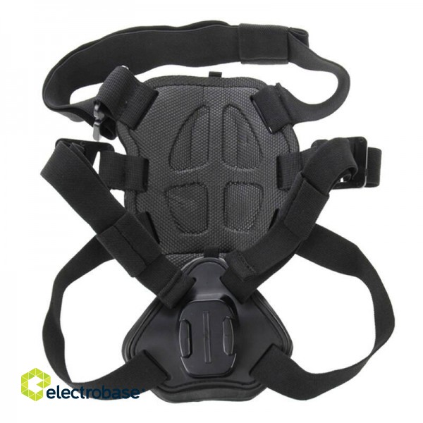 Dog chest strap PULUZ for action cameras (GoPro, Insta360, DJI Action etc.) image 3