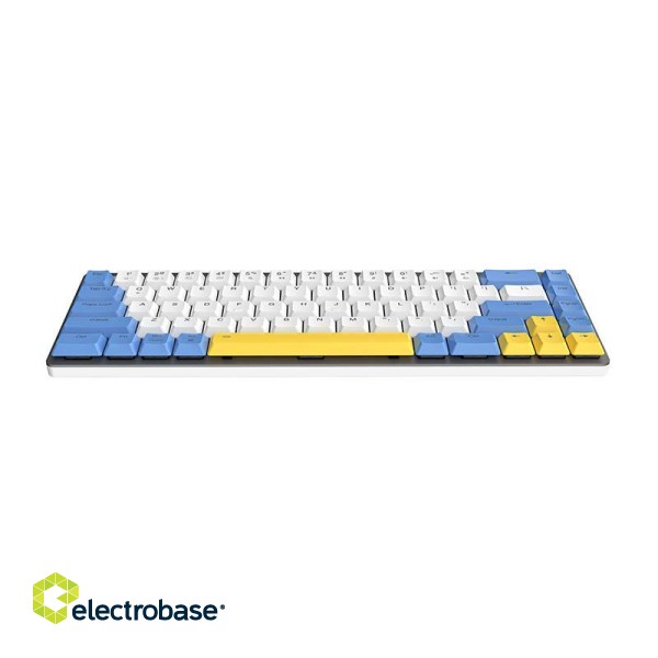 Wireless mechanical keyboard Dareu EK868 Bluetooth (white&blue&yellow)) paveikslėlis 2