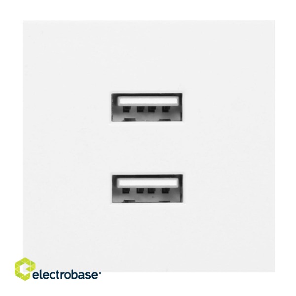 Electric Materials // Furniture electrical switches and sockets, USB sockets // NOEN USB x 2, podwójny port modułowy 45x45mm z ładowarką USB, 2,1A 5V DC, biały