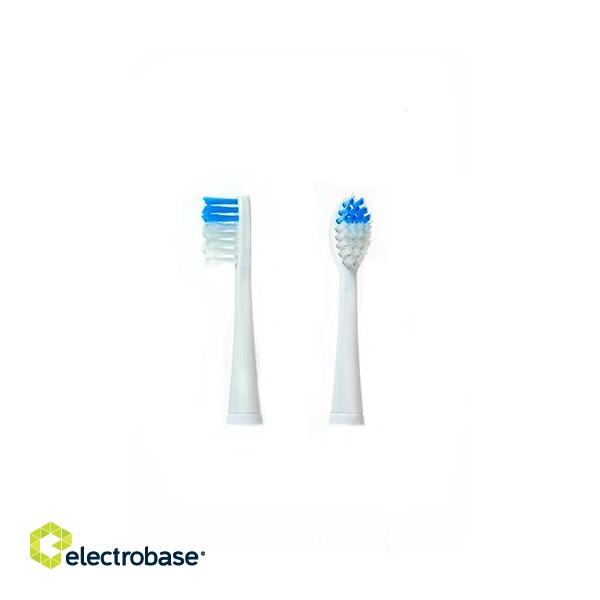 Tooth care // Brushes // CR 2158.1 Końcówki do szczoteczki do cr 2158