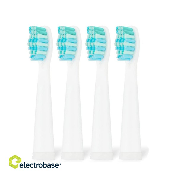Tooth care // Brushes // Zestaw zapasowych szczoteczek do SG-2303 SEAGO, 4 szt., kolor biały, SG-2303 Refill Wh image 1