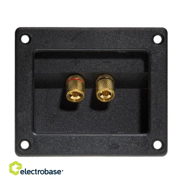 DOUBLE LOUDSPEAKER CONNECTION TERMINAL - SQUARE - GOLD