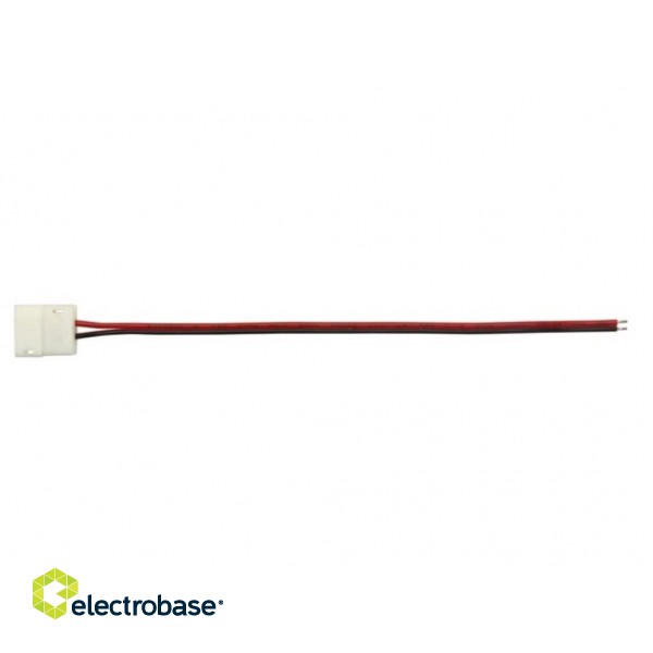 CABLE WITH 1 PUSH CONNECTOR FOR FLEXIBLE LED STRIP - 10 mm MONO COLOUR