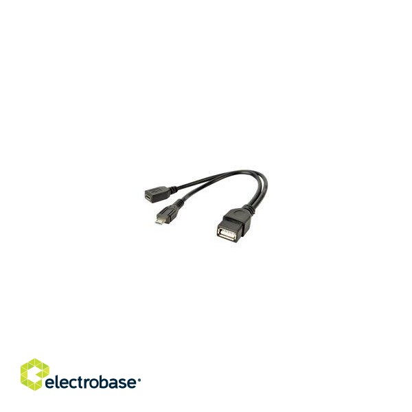 GEMBIRD A-OTG-AFBM-04 cable USB