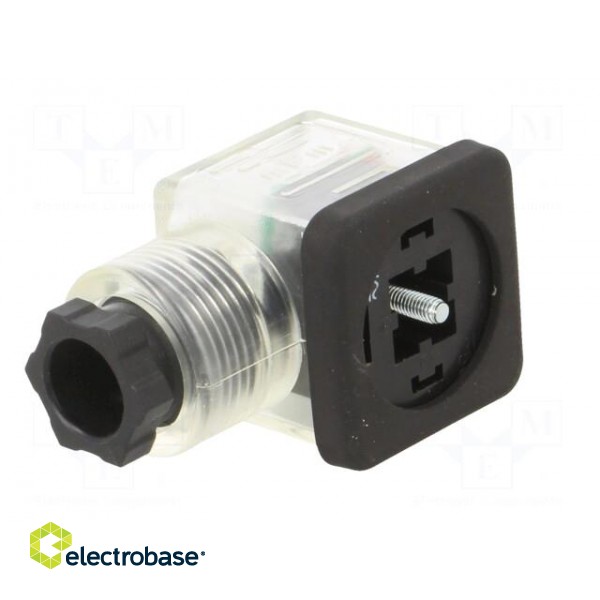 Accessories: plug for coil | IP65 | natural (transparent) | 230V фото 2
