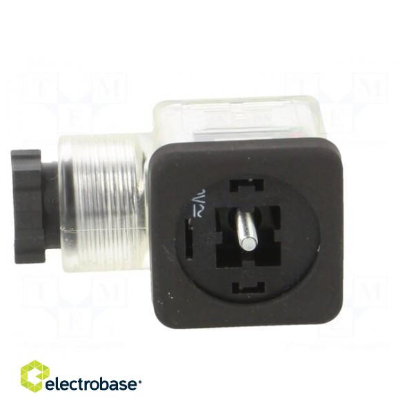 Accessories: plug for coil | IP65 | natural (transparent) | 230V фото 3