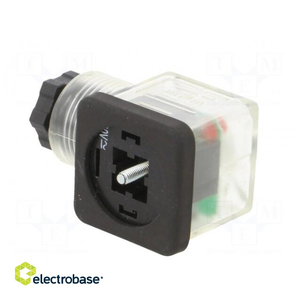 Accessories: plug for coil | IP65 | natural (transparent) | 230V фото 4