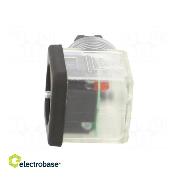 Accessories: plug for coil | IP65 | natural (transparent) | 230V фото 5