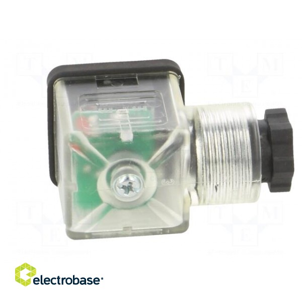 Accessories: plug for coil | IP65 | natural (transparent) | 230V фото 7