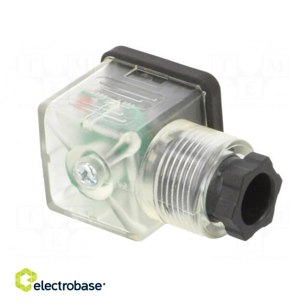 Accessories: plug for coil | IP65 | natural (transparent) | 230V фото 8