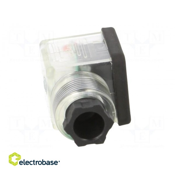 Accessories: plug for coil | IP65 | natural (transparent) | 230V фото 9