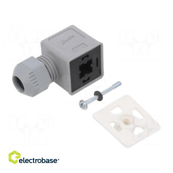 Accessories: plug for coil | IP67 | cool white,grey | 250V paveikslėlis 1