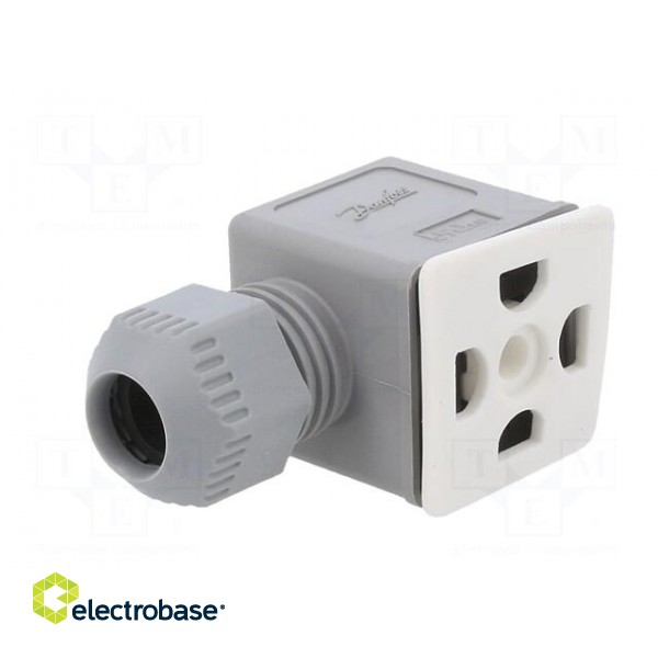 Accessories: plug for coil | IP67 | cool white,grey | 250V paveikslėlis 2
