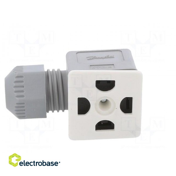 Accessories: plug for coil | IP67 | cool white,grey | 250V paveikslėlis 3