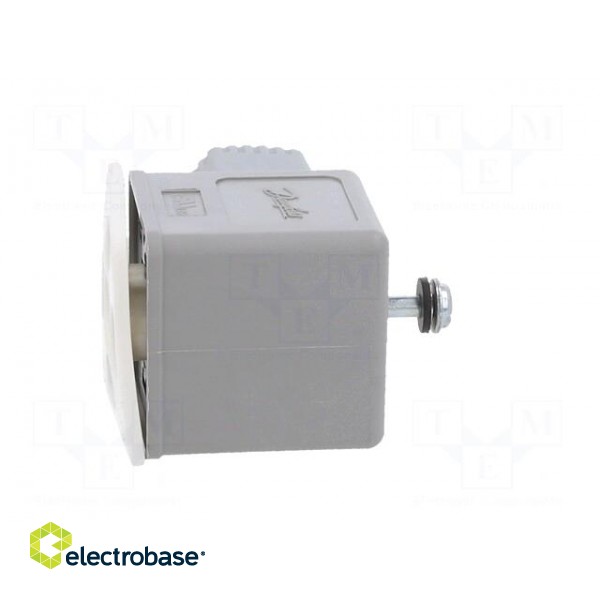 Accessories: plug for coil | IP67 | cool white,grey | 250V image 5