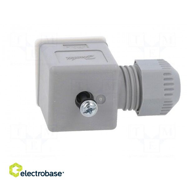 Accessories: plug for coil | IP67 | cool white,grey | 250V image 7
