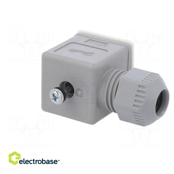 Accessories: plug for coil | IP67 | cool white,grey | 250V paveikslėlis 8