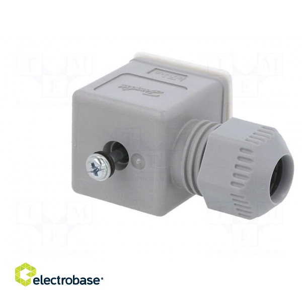 Accessories: plug for coil | IP67 | cool white,grey | 250V image 8