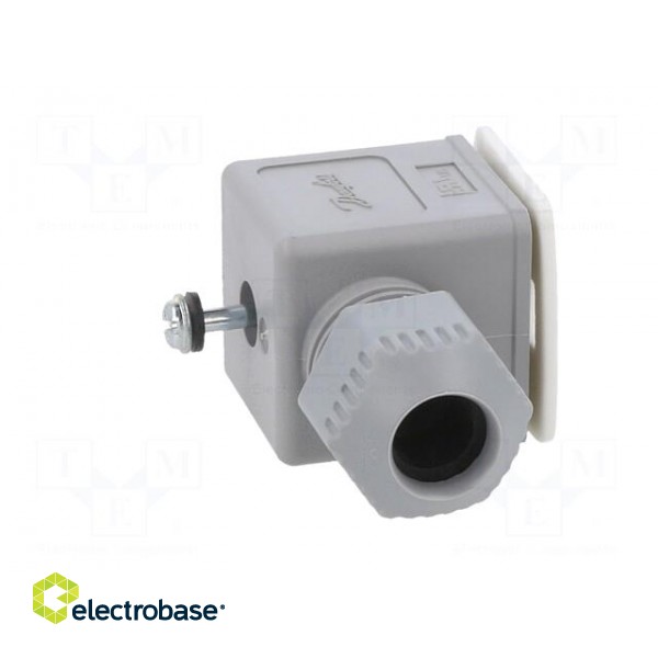 Accessories: plug for coil | IP67 | cool white,grey | 250V paveikslėlis 9