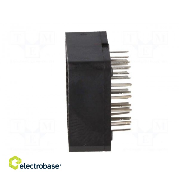 Socket: PLCC | PIN: 28 | phosphor bronze | tinned | 1A | THT image 3