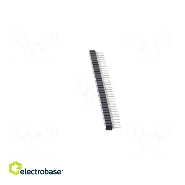 Socket: integrated circuits | SIL32 | Pitch: 2.54mm | precision | THT фото 3