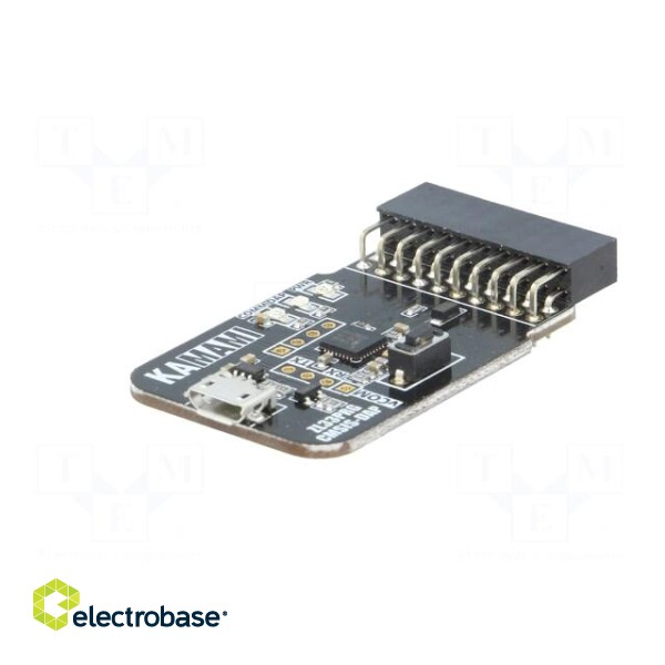 Programmer: microcontrollers | ARM | IDC20,USB micro image 2