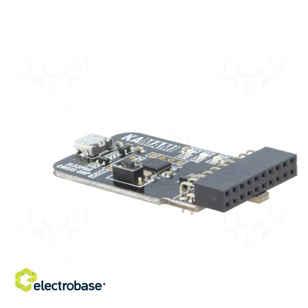 Programmer: microcontrollers | ARM | IDC20,USB micro image 4
