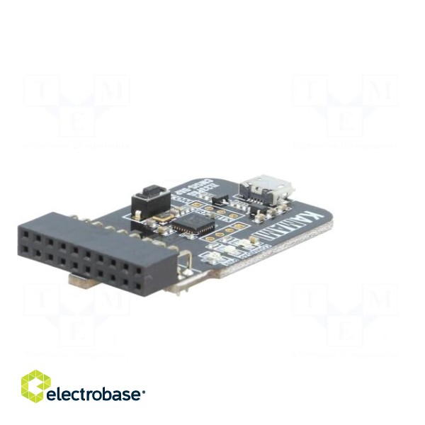 Programmer: microcontrollers | ARM | IDC20,USB micro фото 6
