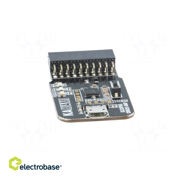 Programmer: microcontrollers | ARM | IDC20,USB micro image 9